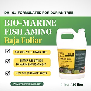 BIO-MARINE DH-01 Concentrated Fertilizer for Durian Tree